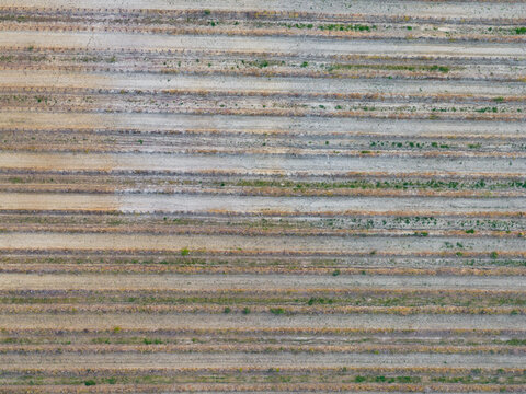 Aerial view of the geometric patterns of agricultural fields with parallel rows of vegetation near Le Balze del Valdarno in Castelfranco Piandisco, Tuscany, Italy.