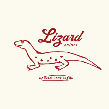 hand drawn lizard animal doodle illustration