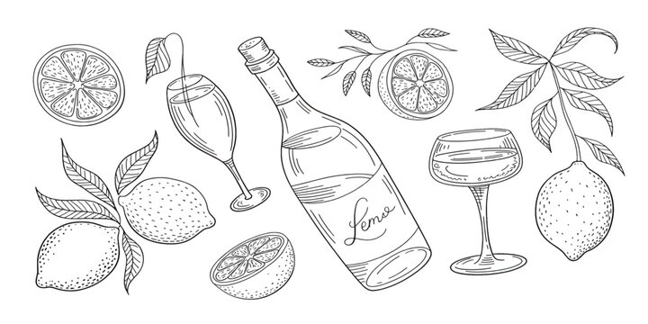 Vintage vector illustration set of hand drawn flowers and fruits featuring wine bottles with glasses and grapes for restaurant bar design