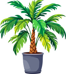 Obraz premium Pachira aquatica money tree plant in pot with braided trunk and lush green leaves, tropical indoor houseplant illustration, modern decorative plant isolated