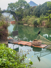 Fototapeta premium Guilin, China. Rustic wooden raft with cormorant floats on calm green river.
