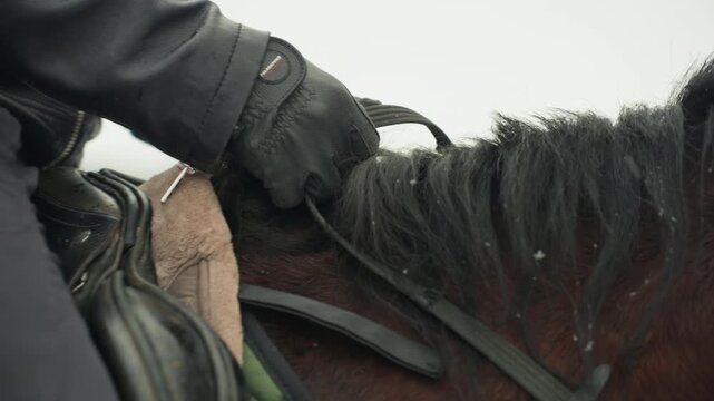 Rider manages horse through snow. Skilled rider controls horse confidently in snowy outdoor environment. Expert equestrian handles reins with steadiness amidst snowy winter outdoor conditions