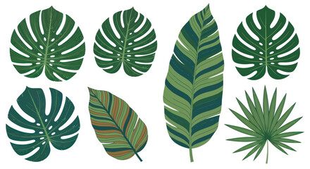 Collection of stylized tropical leaves in shades of green and brown. © Vertu