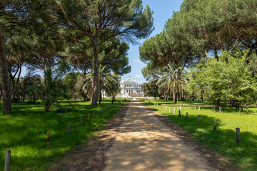 Obraz premium Scenic view of the white Acebron Palace at the end of a forest path in El Rocio, Huelva. Sunny day in Donana Park.