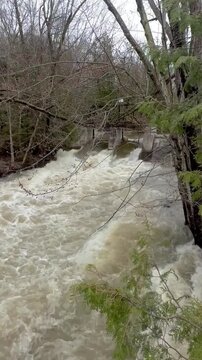 High water levels at Inglis Falls, Owen Sound Ontario.  An 18 metre high cascade on the Sydenham River and Niagara Esparpment