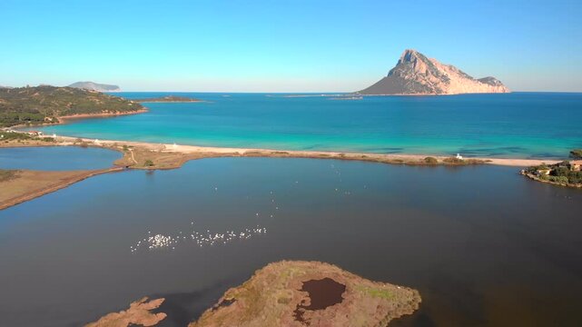 Fascinating aerial view of Tavolara Island , lagoon with flamingos at Porto Taverna Beach in Sardinia, Italy on a clear sunny day.