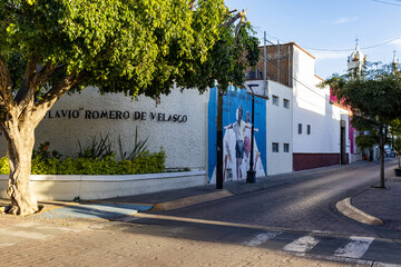 Calles de San Pedro Tlaquepaque Jalisco Pueblo Mágico © Enya