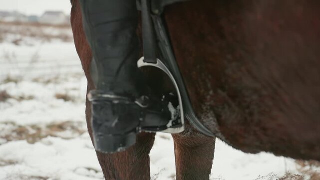 Caucasian rider foot easing into stirrup closeup on leather tack and metal stirrup, snow flecks on boot and horse flank, precise buckle adjustment, focus on footwear and stability during winter ride