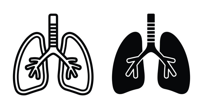 Human lungs icon set showing respiratory system anatomy with trachea and bronchi in outline and solid black silhouette vector style