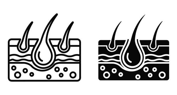 Human skin cross section hair follicle anatomy icon set showing epidermis dermis and root layers for medical and dermatology education
