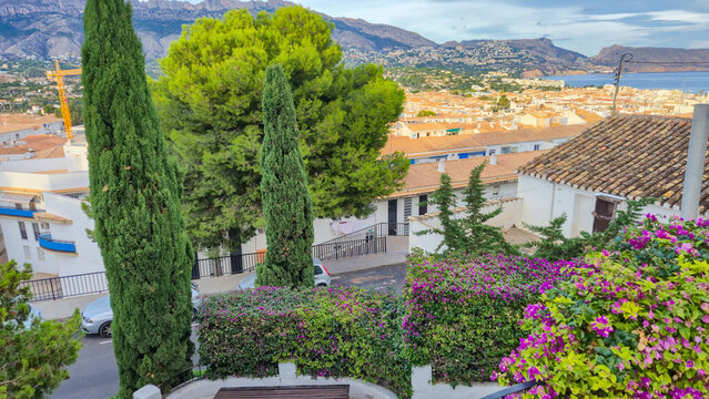 Spain, Altea city. Scenic view of a hillside village with colorful flowers, cypress trees, and distant mountains under a clear sky in Spain