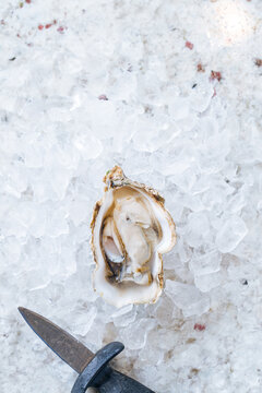 A Large Oyster on Ice With a Knife
