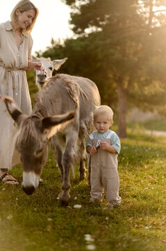young mother with her little son on the donkey farm