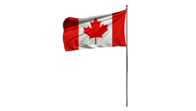 Waving Canadian flag with red maple leaf, isolated on transparent background