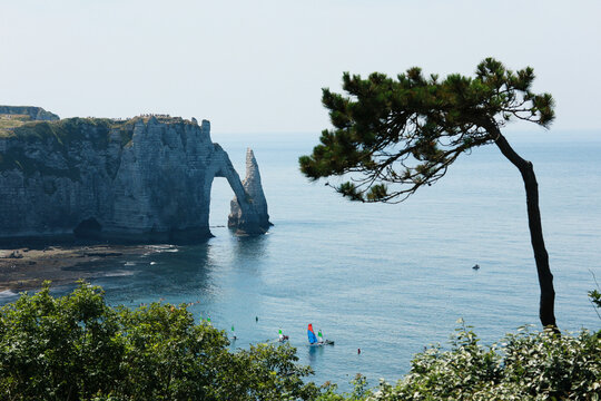 &Eacute;tretat Chalk Arch Cliffs With Sailboats and Pine Tree