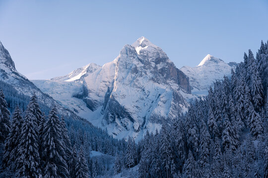 Snow-covered peak rising above winter forest, Swiss Alps