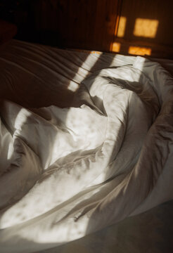 Soft Light Shines on Rumpled White Bedding in a Warm Room