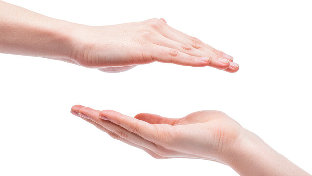Two open human hands cupped and reaching towards each other, isolated on transparent background