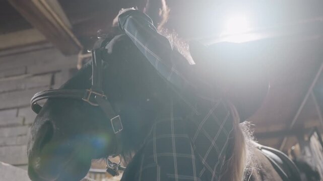 Rider adjusting bridle on horse, helmeted student focused in dim barn light, hands tightening reins, inspecting leather and hardware, calm grooming routine before lesson, closeup on connection