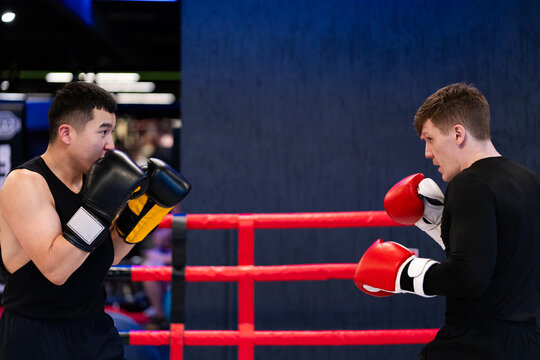 Two Male Boxers Sparring in Boxing Ring During Training