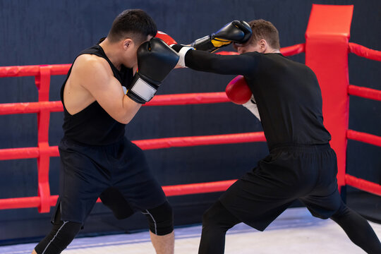Two Male Boxers Sparring in Boxing Ring During Training