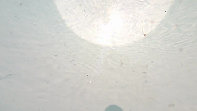 Close-up view of clear water inside a large ceramic container, gently rippling due to wind movement. The surface reflects natural sunlight, creating dynamic light patterns and subtle motion.