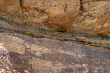 Obraz premium natural stone background