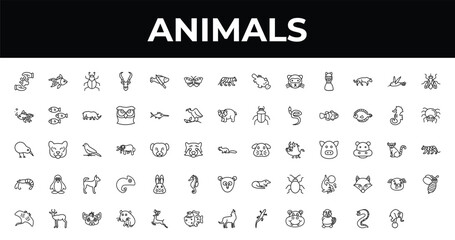 outline animals icons set - butterfly with wings, spider, hyena. editable vector for web and mobile ui © IconArt