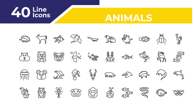 outline animals icons set - wombat, medusa, skunk. editable vector for web and mobile ui