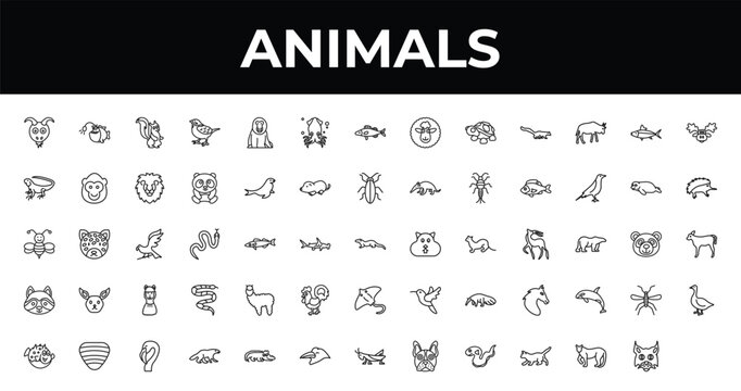 outline animals icons set - squid, seal, flamingo. editable vector for web and mobile ui