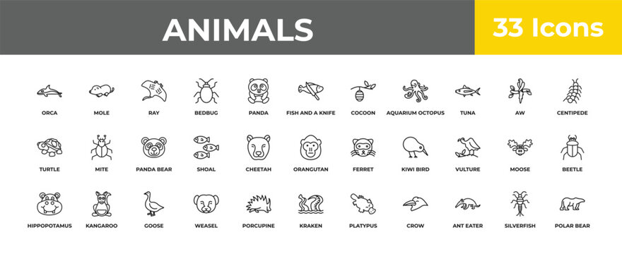 outline animals icons set - panda bear, kangaroo, polar bear. editable vector for web and mobile ui