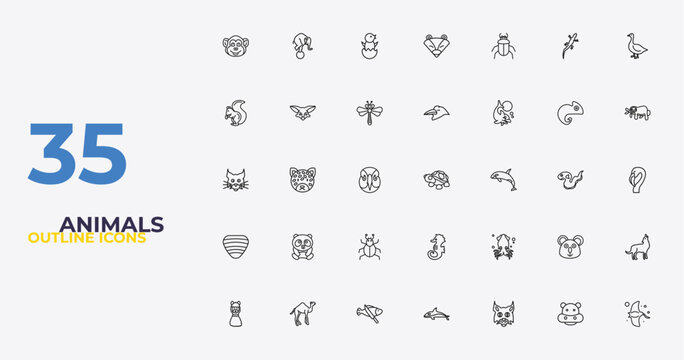 outline animals icons set - crow, squid, manta ray. editable vector for web and mobile ui