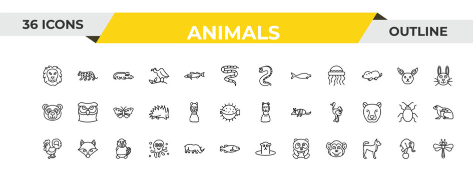 outline animals icons set - moray, lama, beaver. editable vector for web and mobile ui