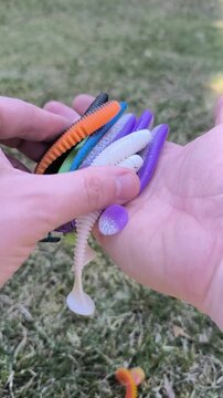 Close up of hands holding and examining a variety of colorful soft plastic fishing lures outdoors over green grass