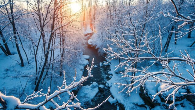 Winter Forest Frame With Frosted Branches Over Calm River at Sunset, High Angle View Background