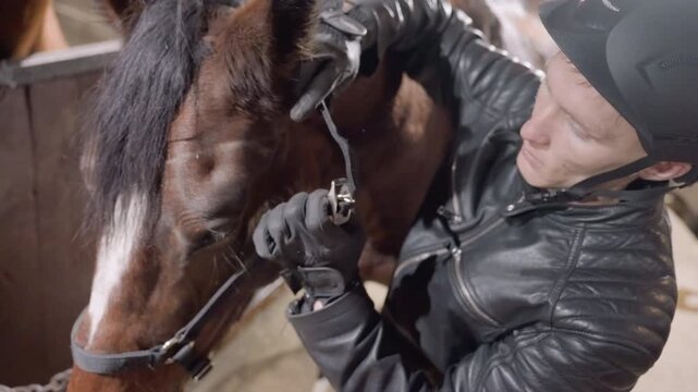 White technician fitting bit and noseband near stall, precise hand movements, helmeted rider persona, chain tether, close inspection of muzzle, patient horse response, focused routine