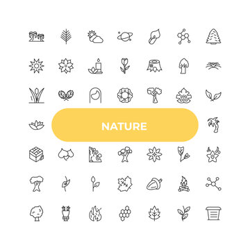 outline nature icons set - reeds, cercis leaf, oak. editable vector for web and mobile ui