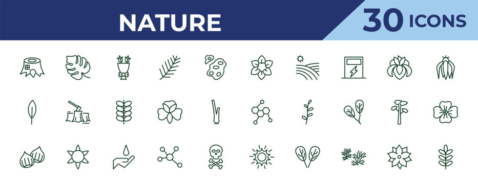 outline nature icons set - narcissus, magnolia leaf, chestnut. editable vector for web and mobile ui