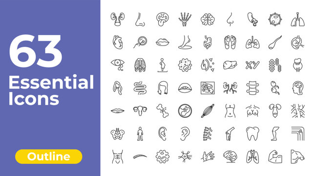 outline human body parts icons set - human hand bones, digestive system, bones joint. editable vector for web and mobile ui