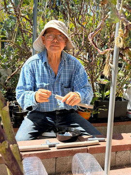gardening at home yard