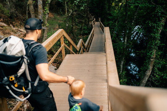 Father and Child Walking on Wooden Path in a Forest