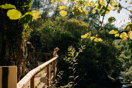 Exploring a Wooded Path on a Bright Sunny Day