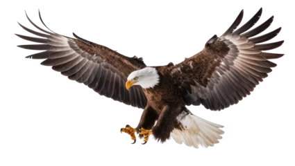 Fototapeten Adler Majestic bald eagle with spread wings talons extended, isolated on transparent background  © Corotaev