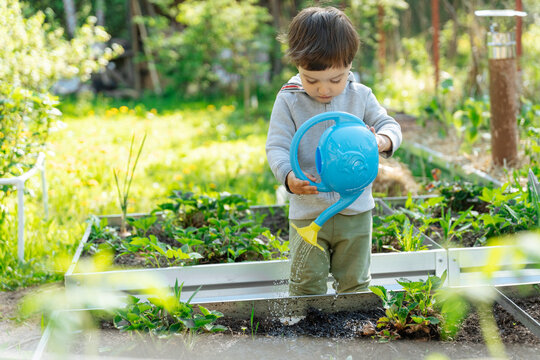 Child watering plants in garden with blue watering can