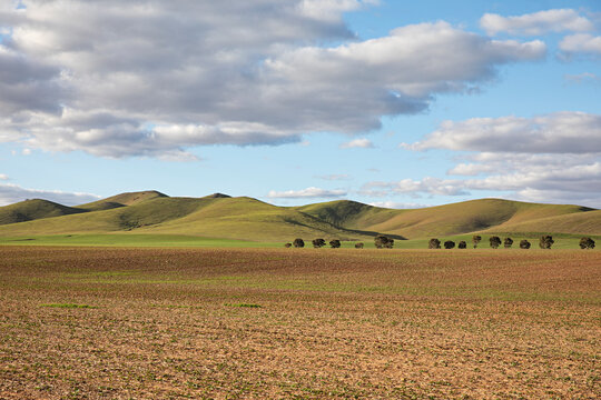 Rolling green hills in a country agricultural setting in Australia