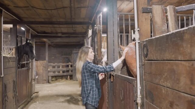 Serene scene of woman showing affection to horse. Tranquil moment with woman tenderly petting her horse in sunlight. Calm woman affectionately caresses her horse amidst sunlit outdoor setting