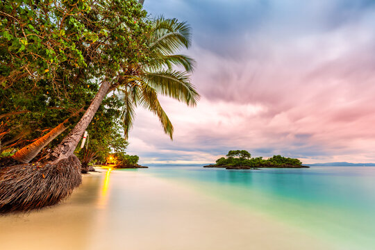 Exotic seascape with palm sea grape trees leaning on a Caribbean beach at dusk in Cayo Levantado, Dominican Republic. The wild island of Cayo Quisqueya is visible in the background