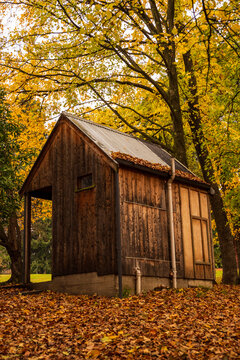 Wooden shed surrounded by Fall Color