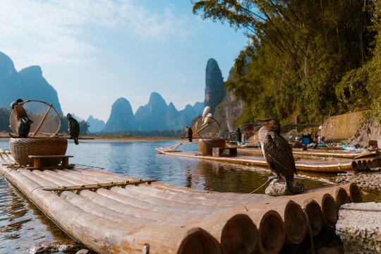 Cormorant sitting on the fishing boat 