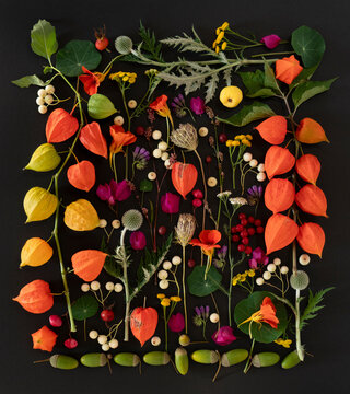 Green and orange composition with physalis